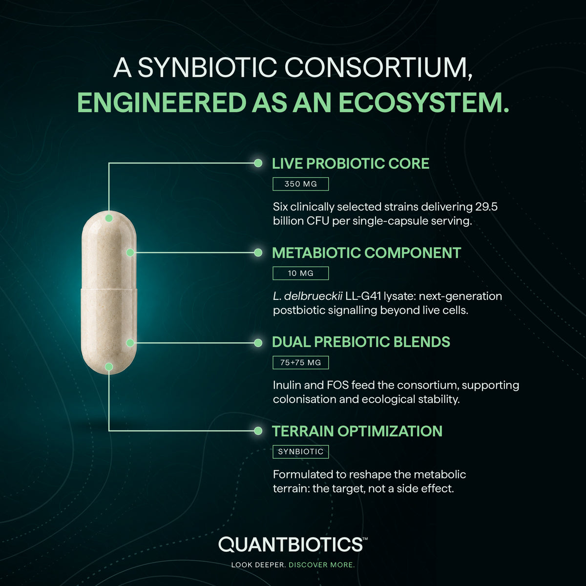 GlycoTerra