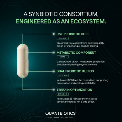 GlycoTerra