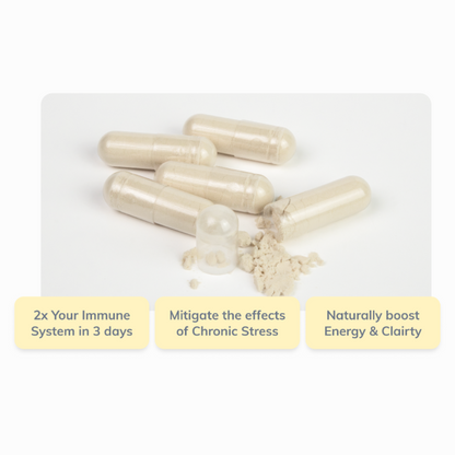 Beta Glucan HP 500mg PURE Professional