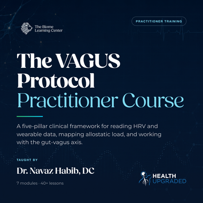 Vagus Protocol Practitioner Course